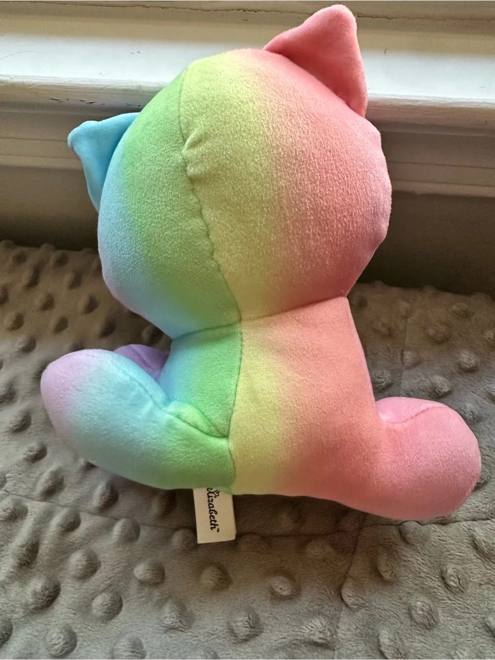 Plush Rainbow Cat Plushie Moriah Elizabeth